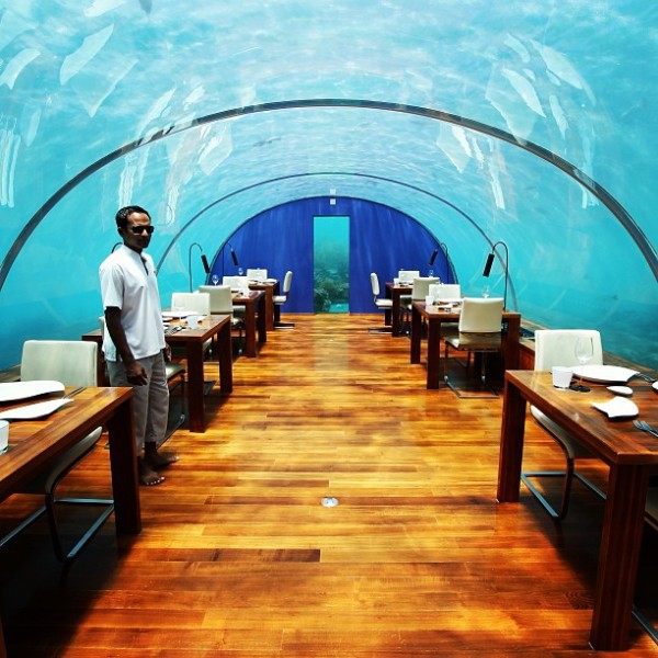 Lunch at the absolutely stunning Ithaa underwater restaurant