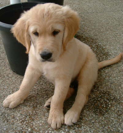 Leave me alone. I'm tired.