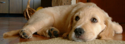 Leave me alone. I'm thinking.