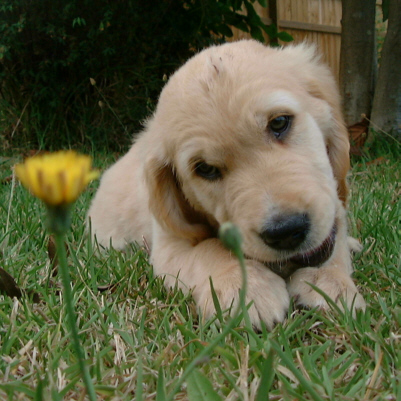 Leave me alone. I'm eating.